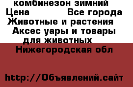 комбинезон зимний › Цена ­ 1 300 - Все города Животные и растения » Аксесcуары и товары для животных   . Нижегородская обл.